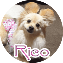 Rico.1st
